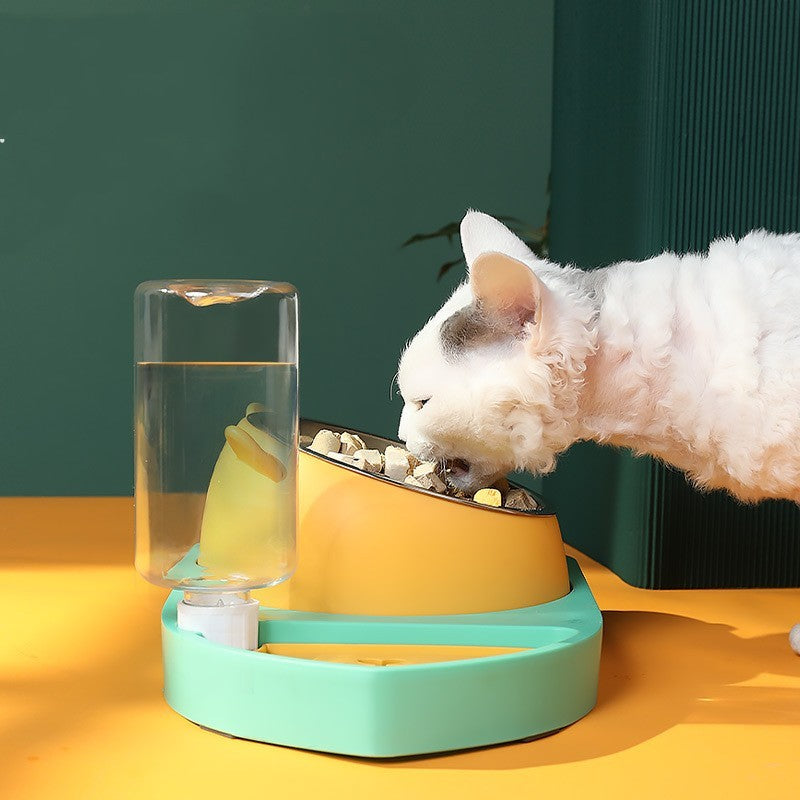 3-in-1 Fish Design Feeder | Pet Food & Water Dispenser.