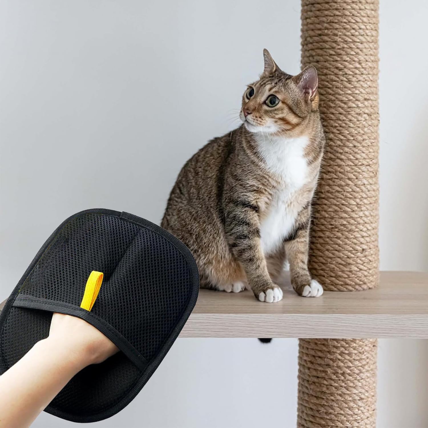 Cat Hair Removal Comb | Electrostatic Pet Gloves.