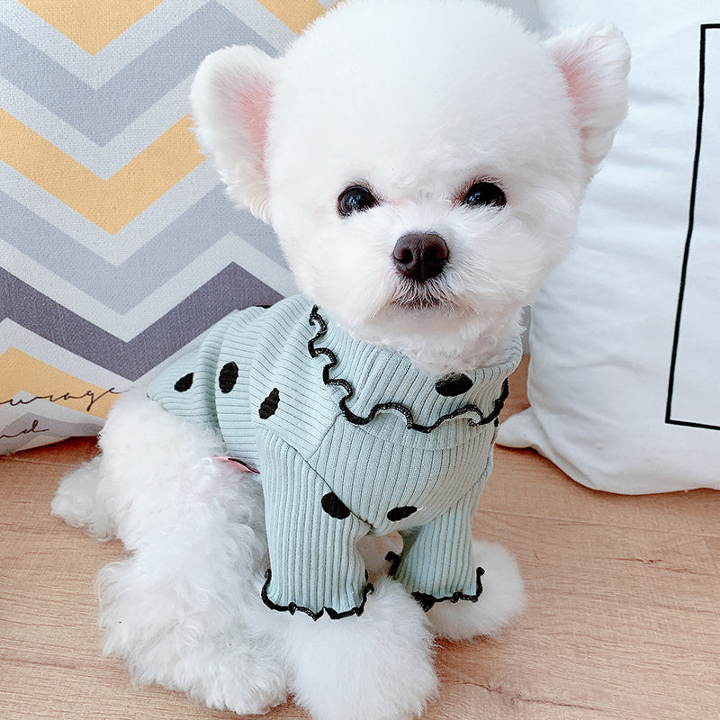 Dot Turtleneck Dog Shirt | Soft Bottoming Tee for Pets.