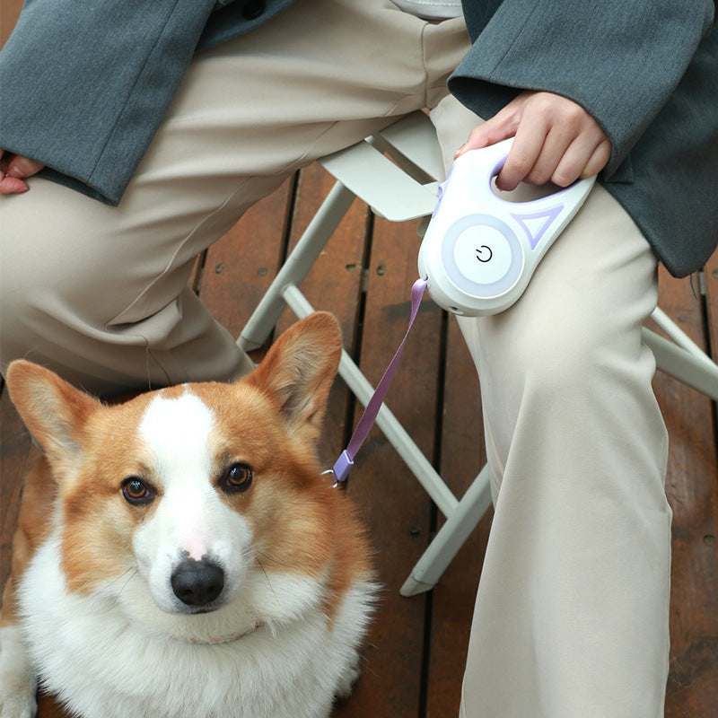 Dog Leash & Collar Set | Retractable Pet Lead with Light.